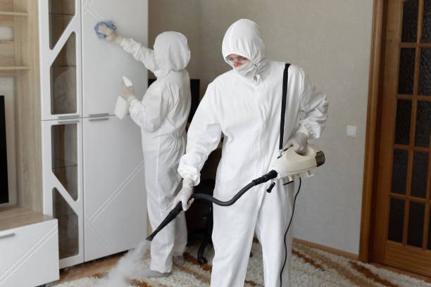 24/7 Emergency Odor Removal experts in Stanton, TX