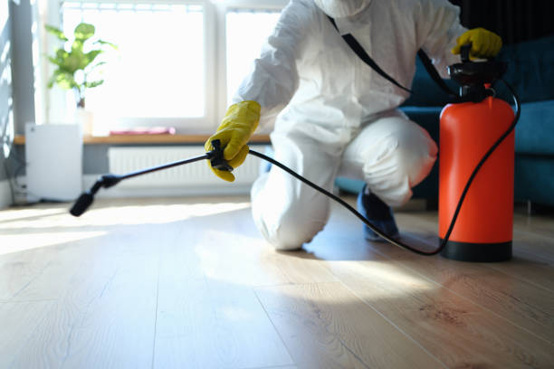 Reliable Odor Removal contractor in Stanton, TX by Trauma Clean Pros